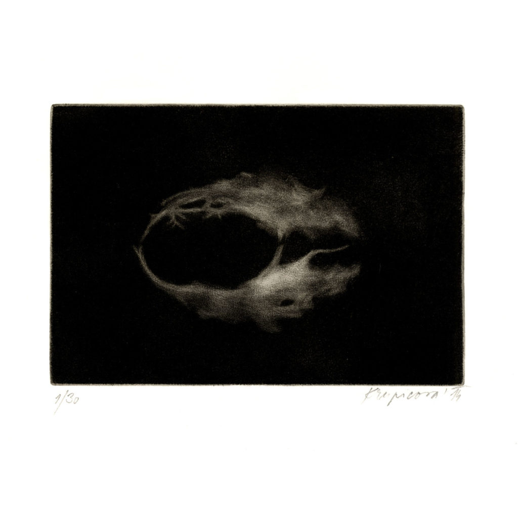 grafický cyklus Slíva · mezzotinta · 8 x 12 cm 2014