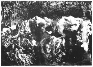 Kamenné hory · litografie · 70 x 100 cm 2016
